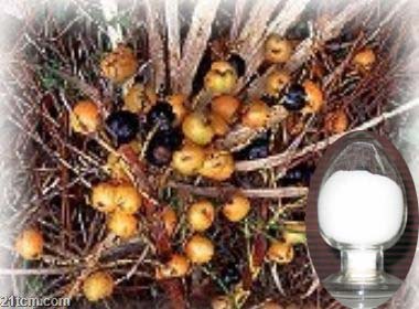 Saw Palmetto Extract Saw Palmetto Extract